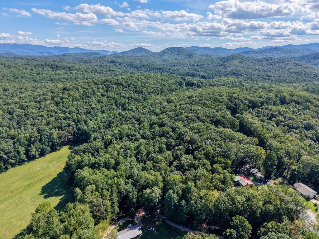 2 Blue Ridge Blue Ridge, GA 30513 - Photo 23 of 31 Gallery Image 23
