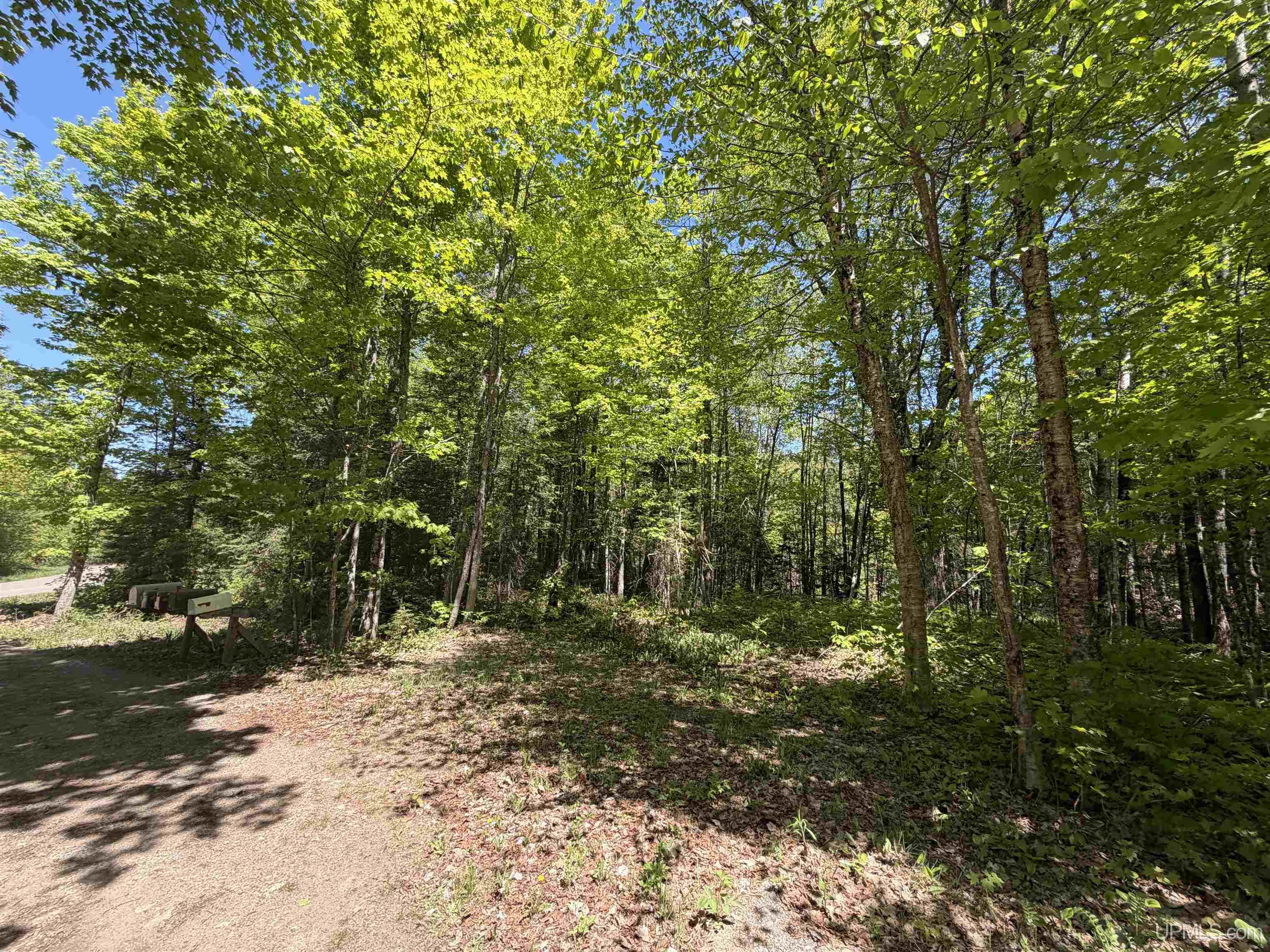 33 Tan Road Michigamme, MI 49861 - Photo 69 of 74