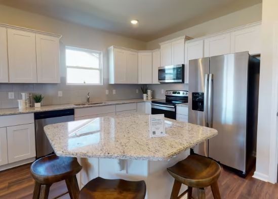 3547 Peace Road Columbia, TN 38401 - Photo 16 of 35 ***This photo was taken from our recently sold "Rosemont" model home*** Kitchen Island