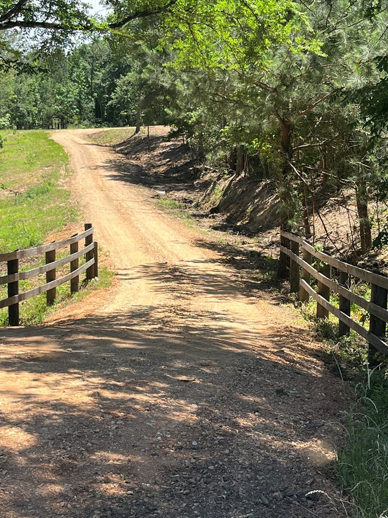 2215 Highway 550 Wesson, MS 39191 - Photo 7 of 21 Photo 7