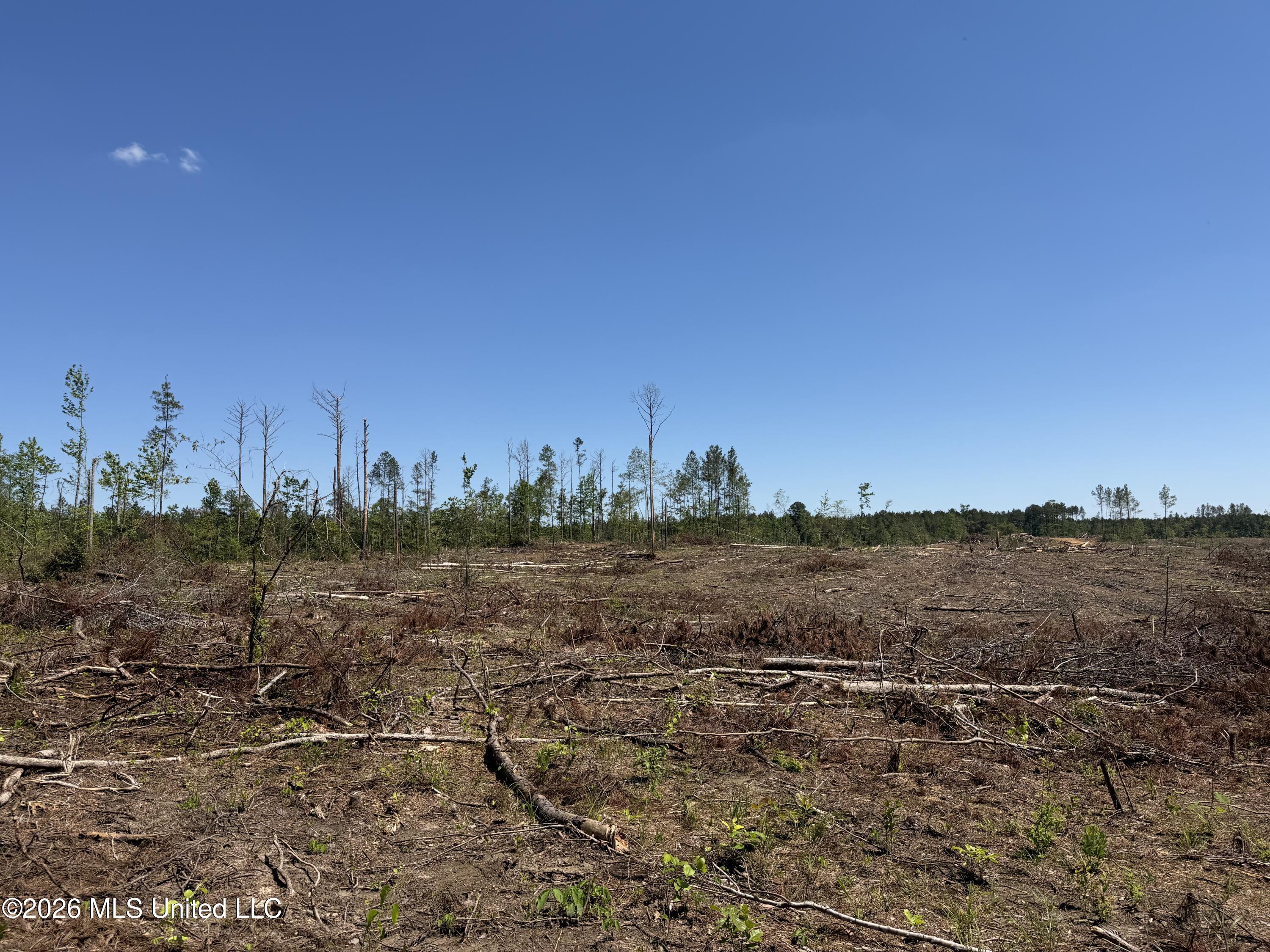 Couparle Road Camden, MS 39045 - Photo 28 of 47 Photo May 12 2026, 2 27 18 PM