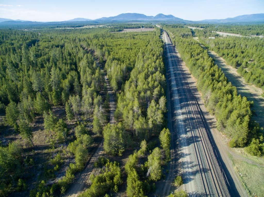 54 Off Rr Athol, ID 83801 - Photo 4 of 9 Land 3