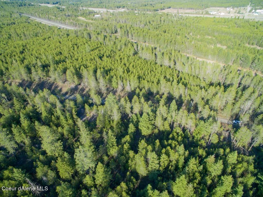 54 Off Rr Athol, ID 83801 - Photo 8 of 9 Land 7