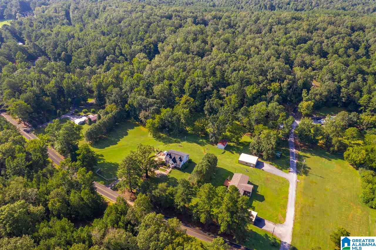 3309 Self Creek Road Pinson, AL 35126 - Photo 33 of 48