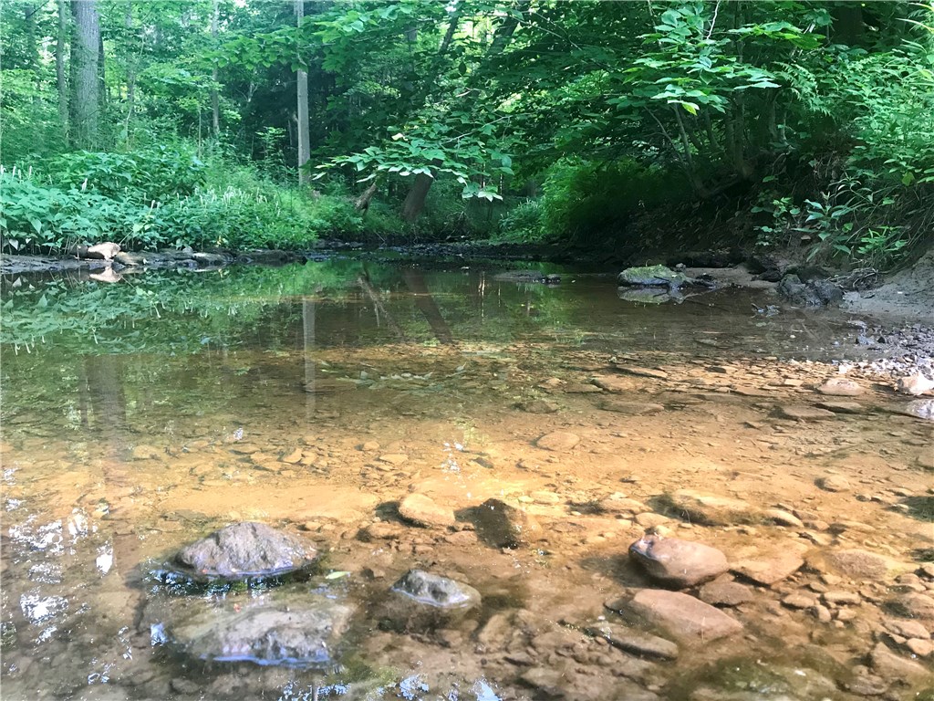 7244 Lakeside Road Ontario, NY 14519 - Photo 11 of 36