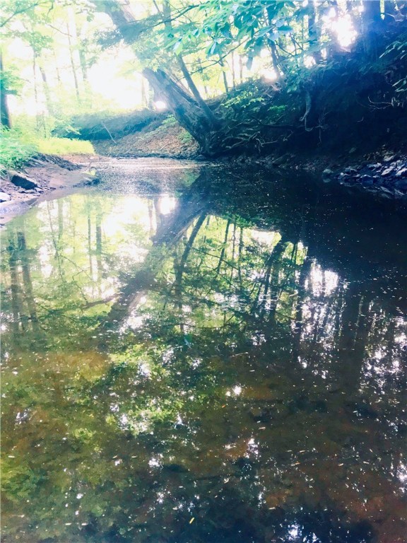 7244 Lakeside Road Ontario, NY 14519 - Photo 10 of 36