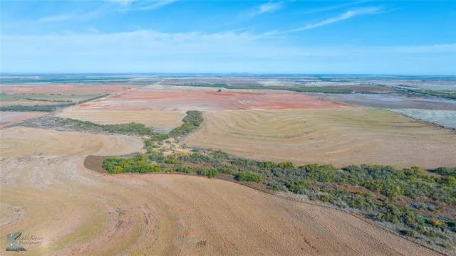 a view of an ocean beach