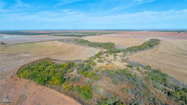 a view of an ocean and beach