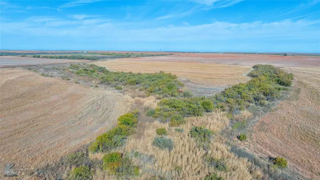 a view of an ocean and beach