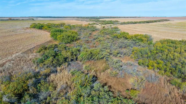 a view of an ocean and beach