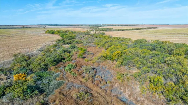 a view of an ocean and beach
