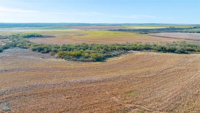 a view of a lake with a beach
