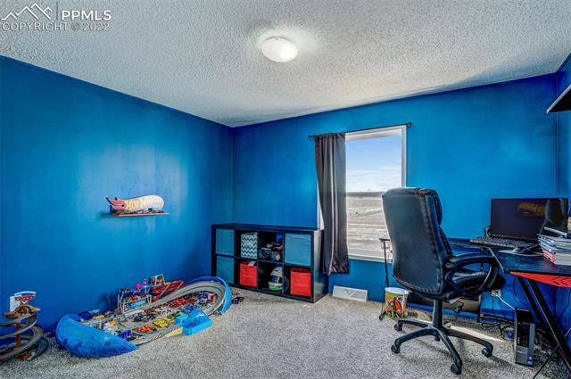 5705 Whipshaw Road Peyton, CO 80831 - Photo 23 of 34 Additional Bedroom 2