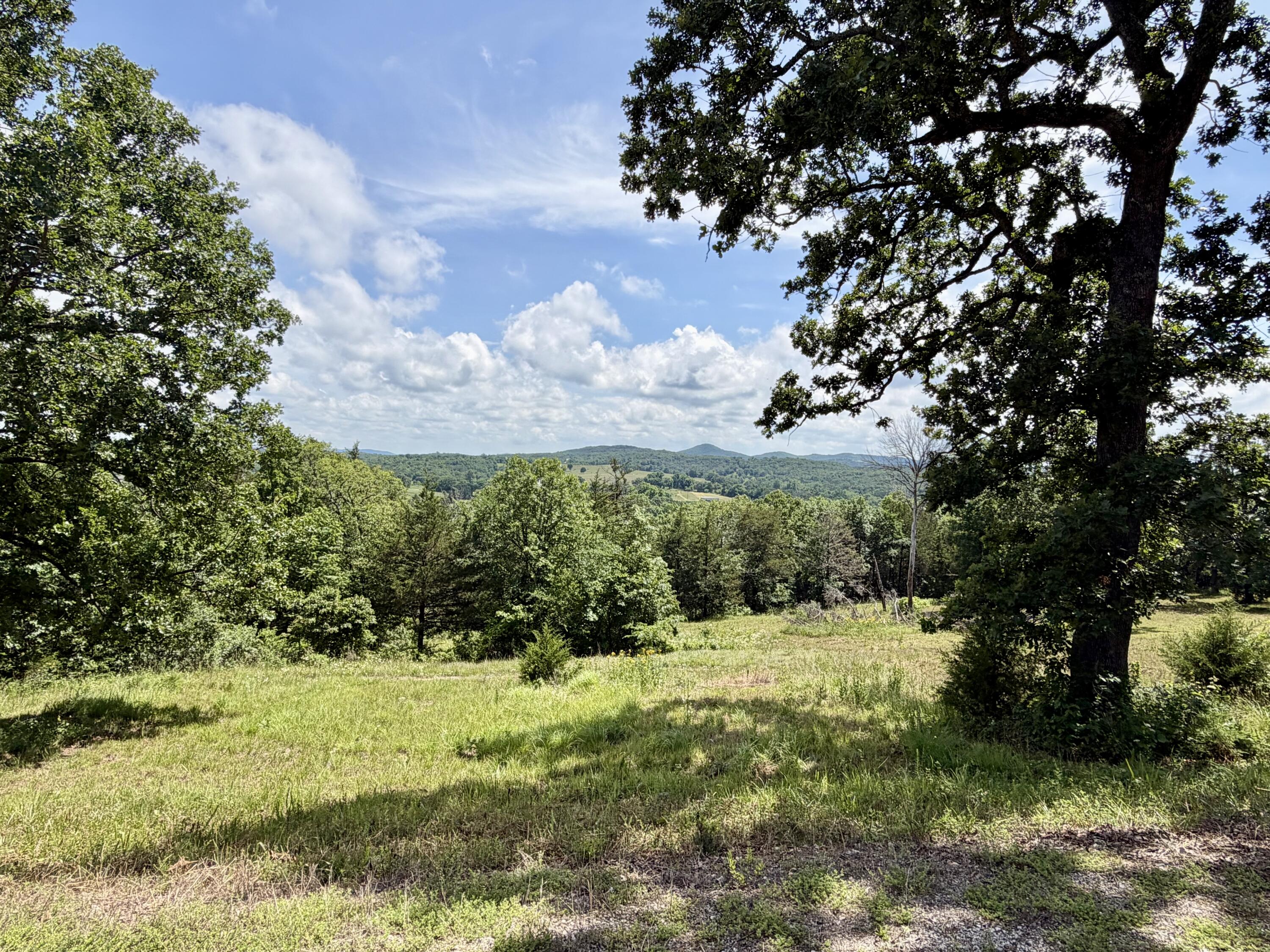 1 2 3 Shell Knob Mo 65747 Shell Knob, MO 65747 - Photo 12 of 26 TRL