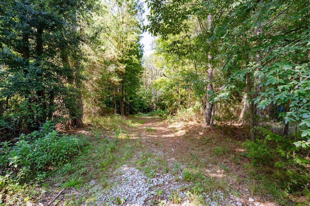347 Liberty Road Iva, SC 29655 - Photo 11 of 19 Gallery Image 11