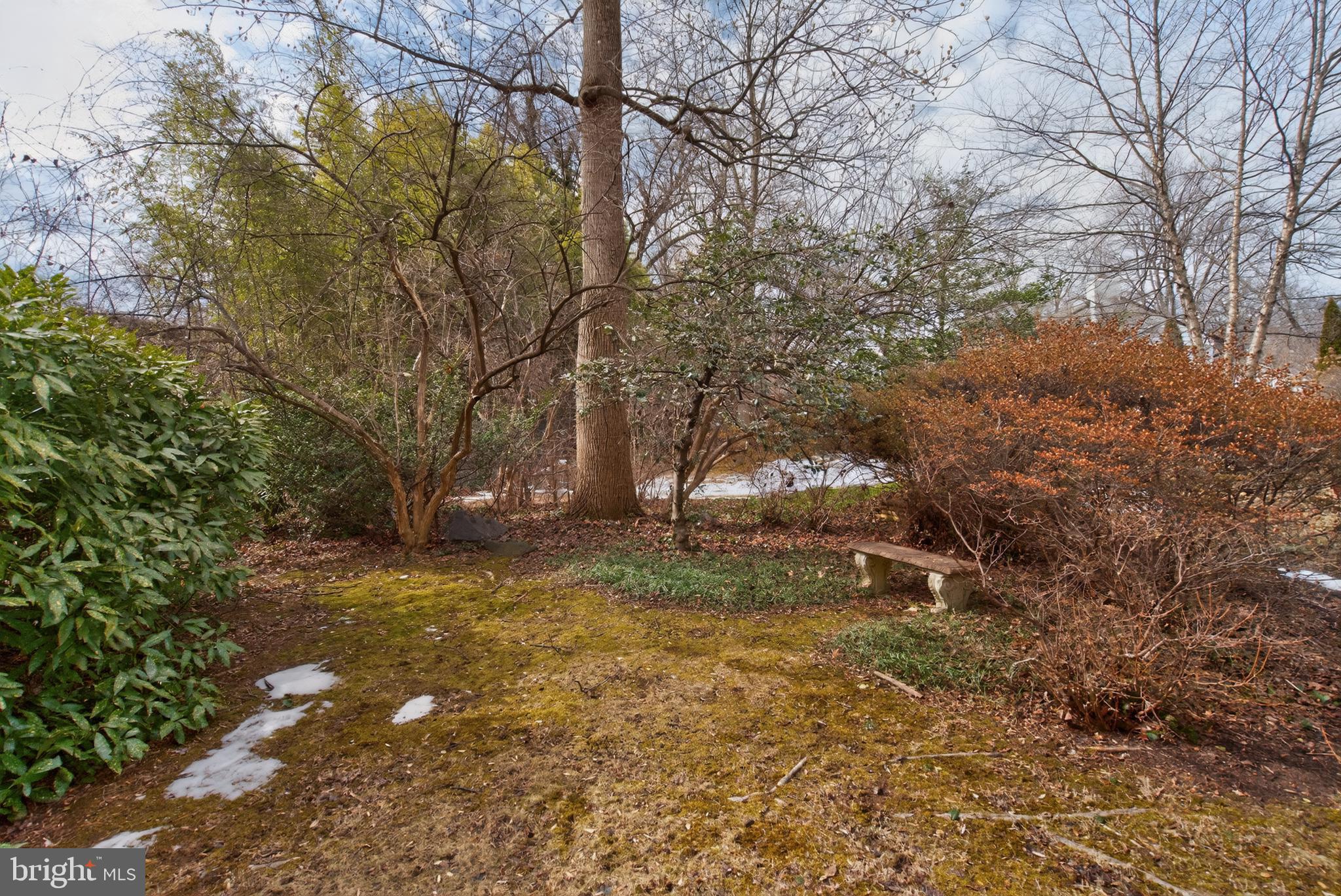 6312 Rockhurst Road Bethesda, MD 20817 - Photo 36 of 41 Serene back yard space
