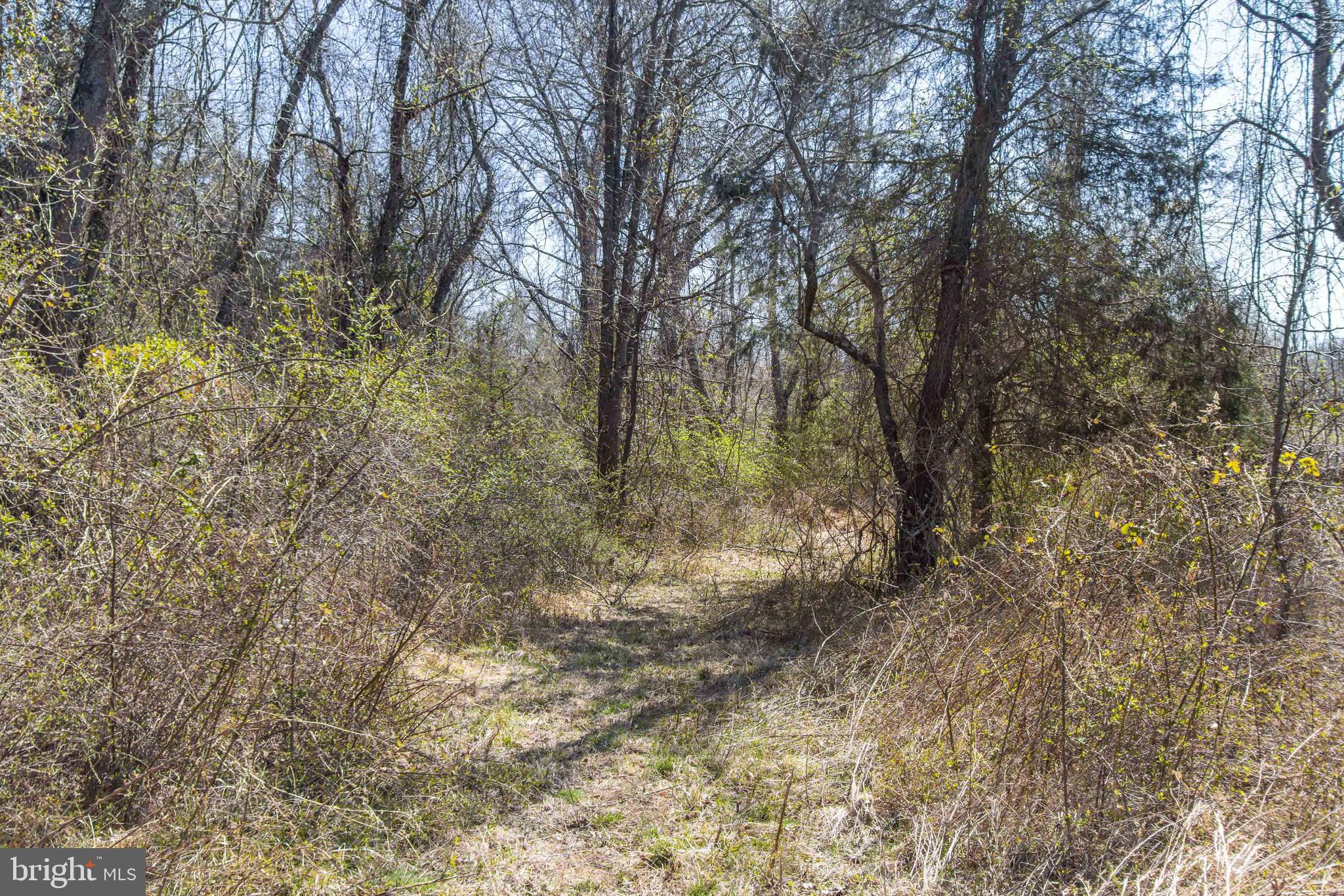 17817 Bowie Mill Road Derwood, MD 20855 - Photo 12 of 23