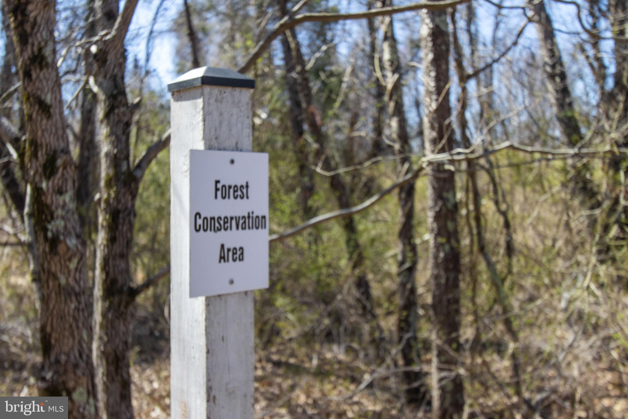 17817 Bowie Mill Road Derwood, MD 20855 - Photo 13 of 23