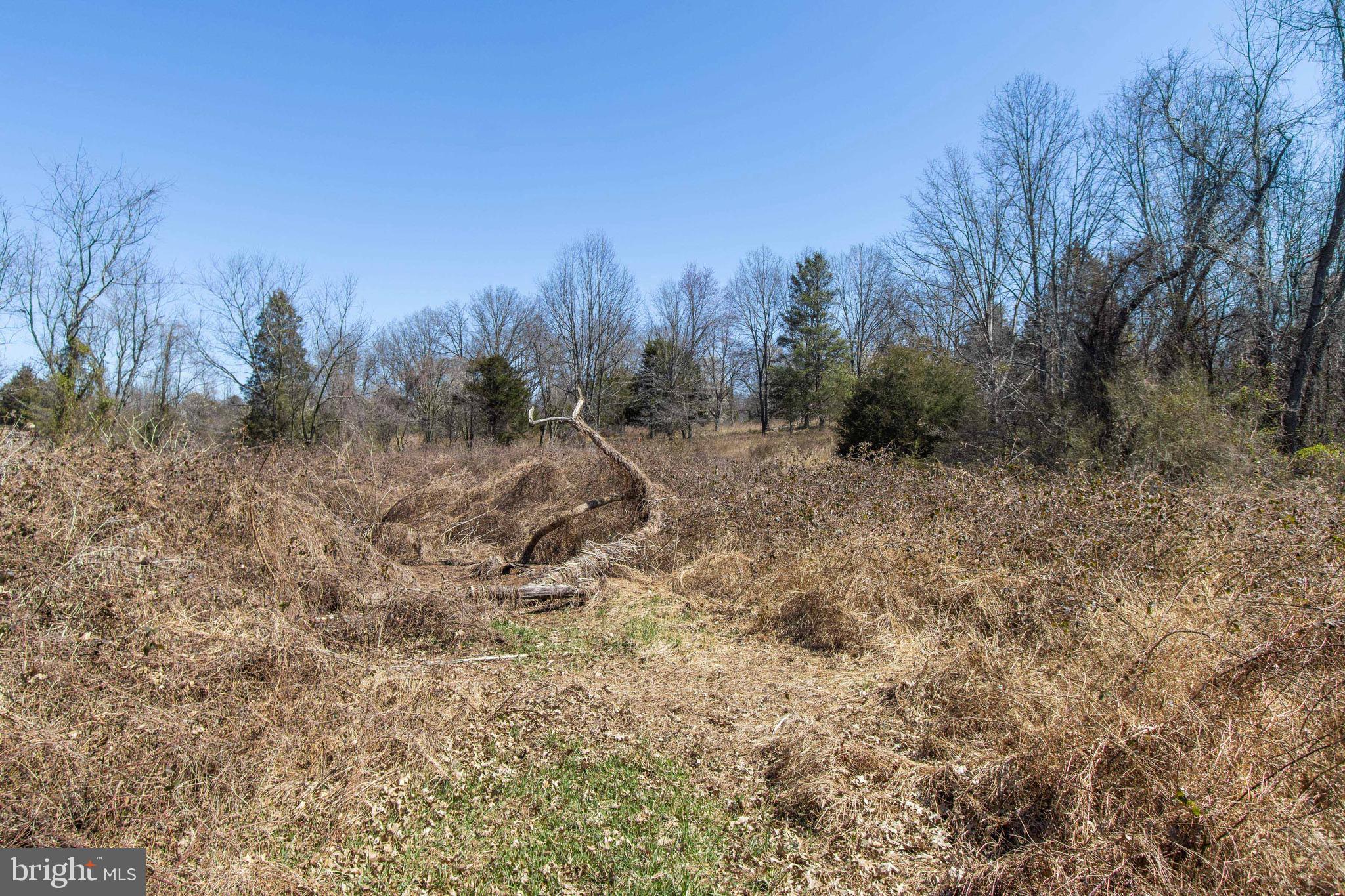 17817 Bowie Mill Road Derwood, MD 20855 - Photo 14 of 23
