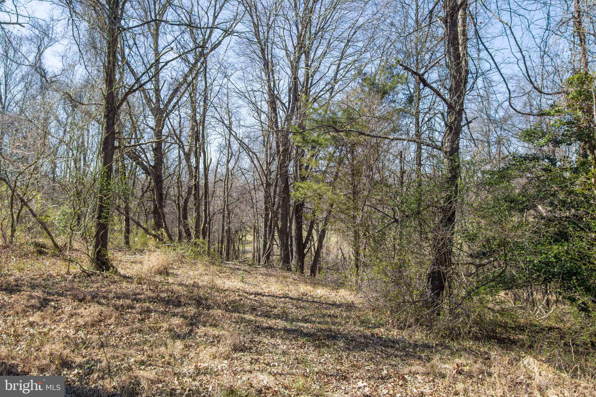 17817 Bowie Mill Road Derwood, MD 20855 - Photo 15 of 23