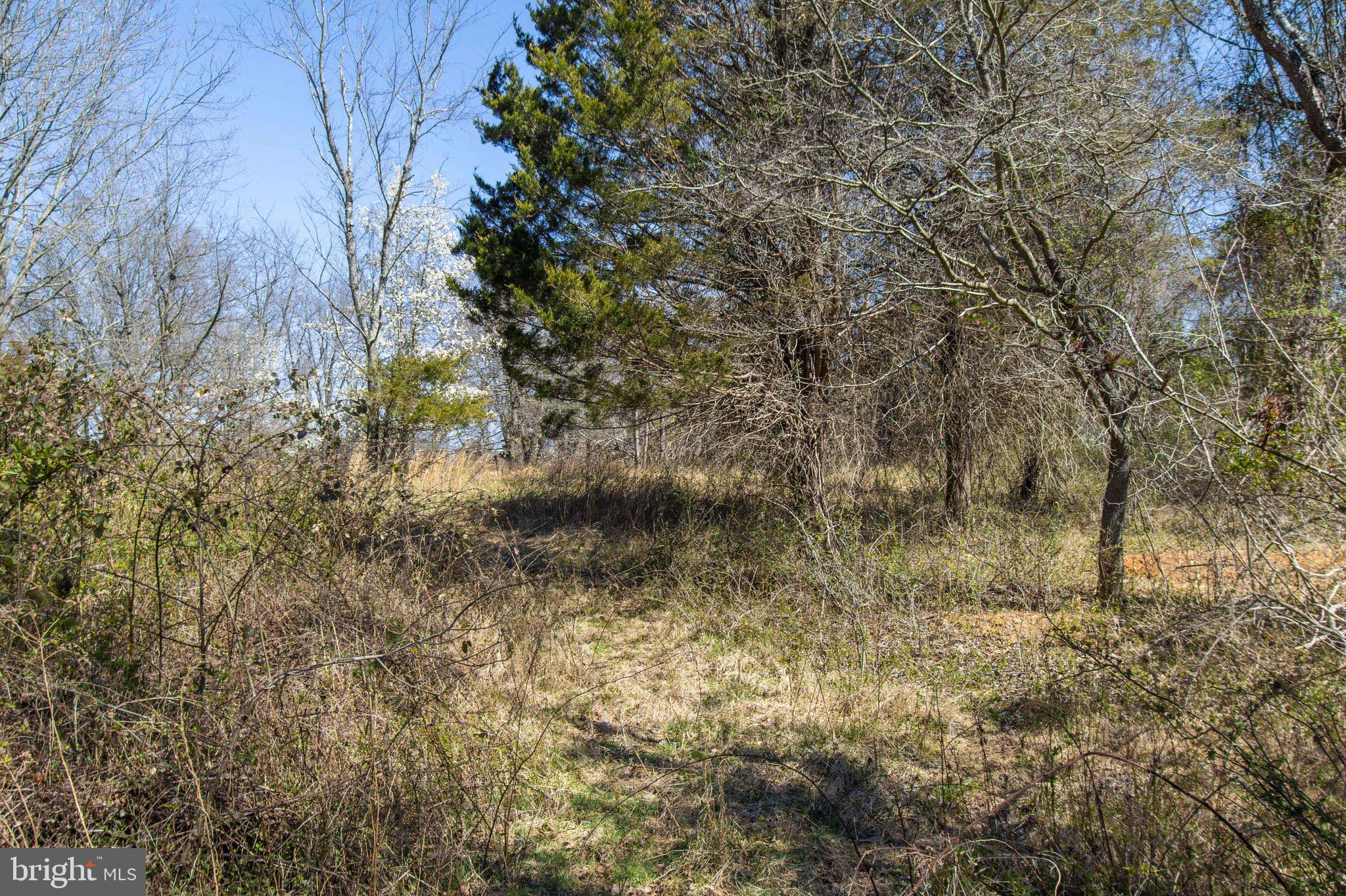 17817 Bowie Mill Road Derwood, MD 20855 - Photo 17 of 23