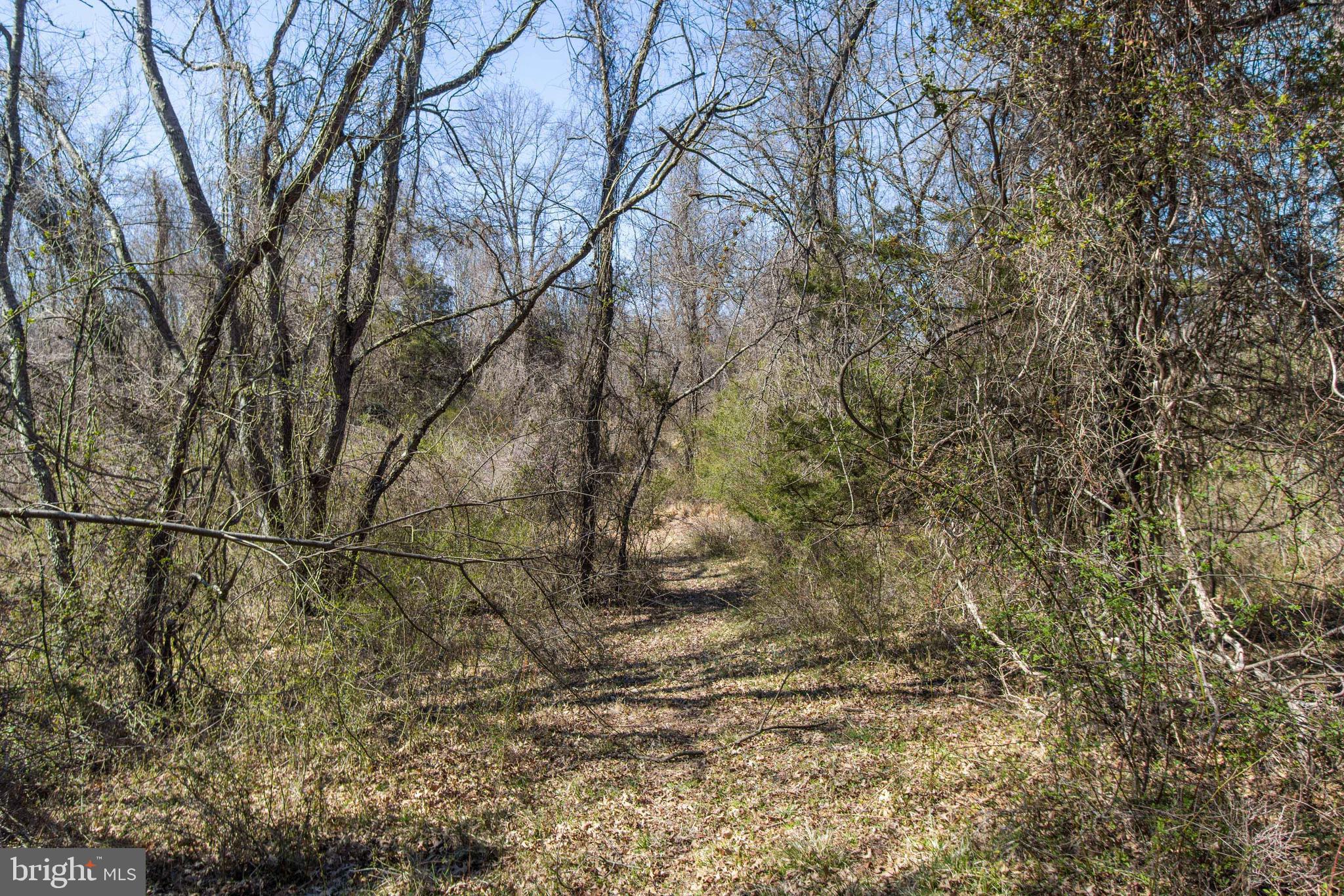 17817 Bowie Mill Road Derwood, MD 20855 - Photo 18 of 23