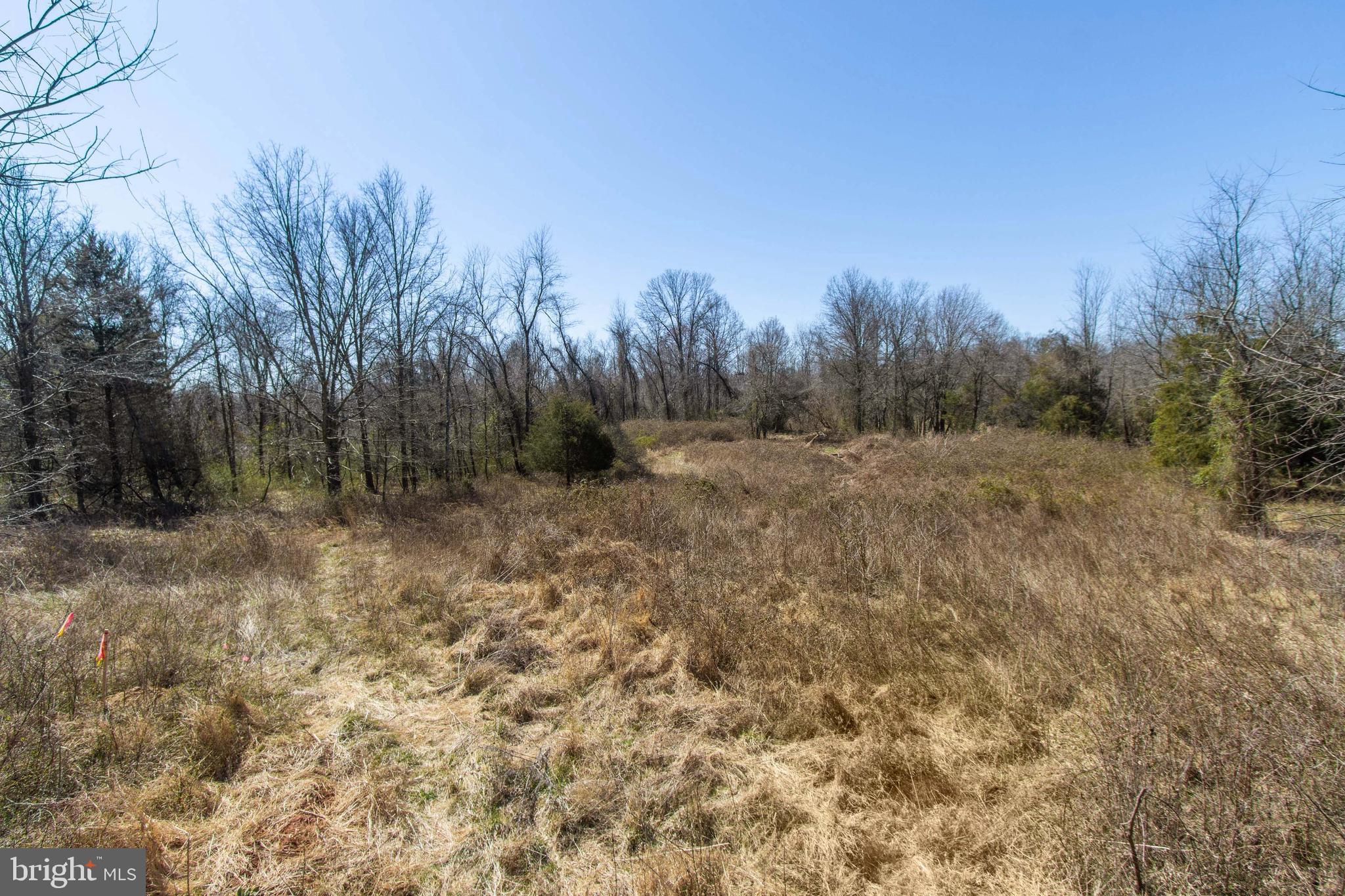 17817 Bowie Mill Road Derwood, MD 20855 - Photo 19 of 23