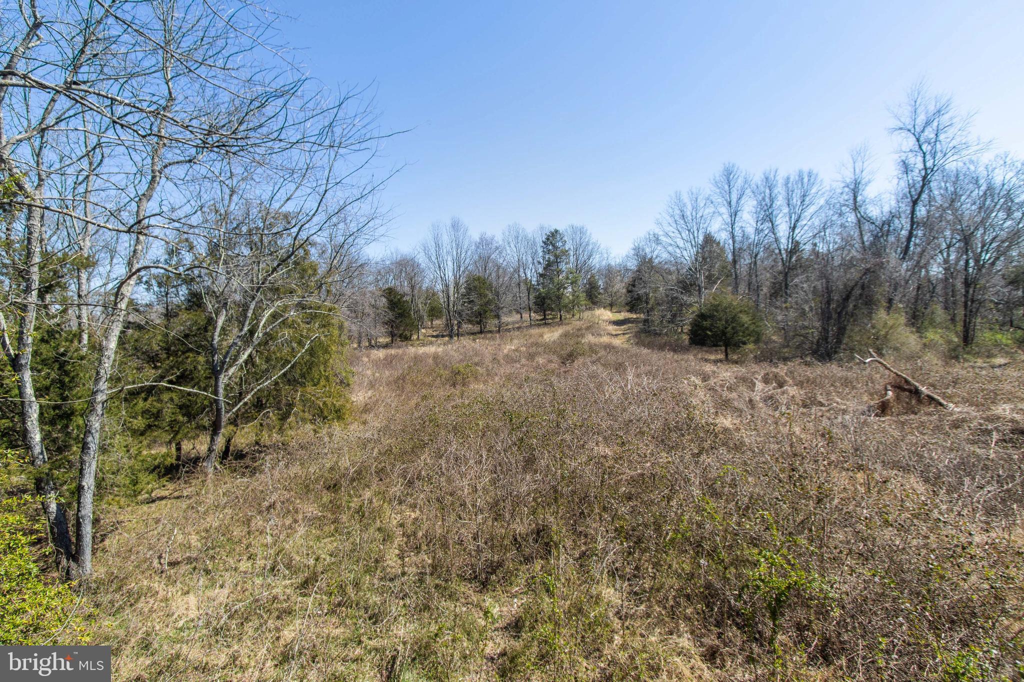 17817 Bowie Mill Road Derwood, MD 20855 - Photo 22 of 23