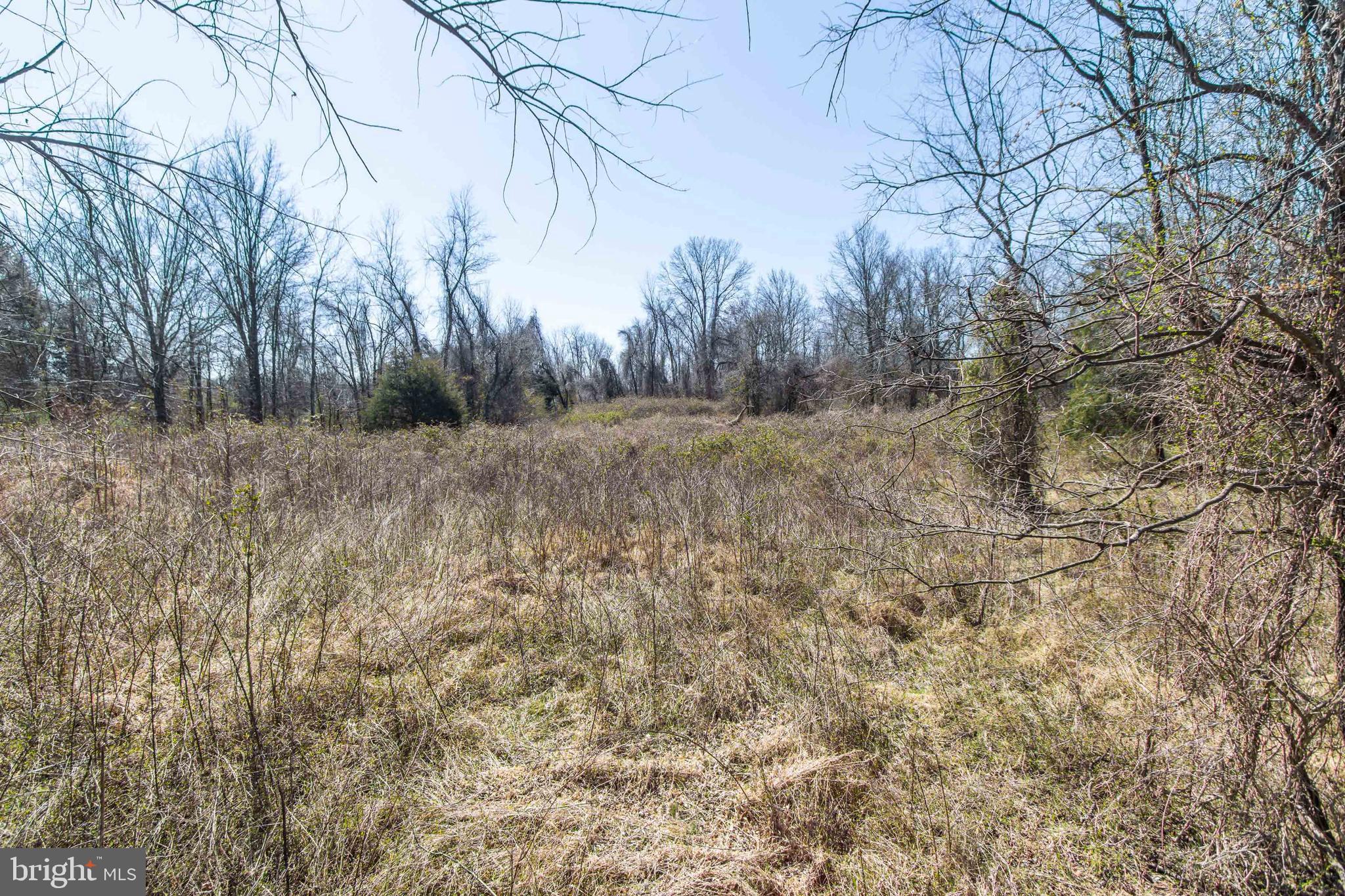17817 Bowie Mill Road Derwood, MD 20855 - Photo 23 of 23