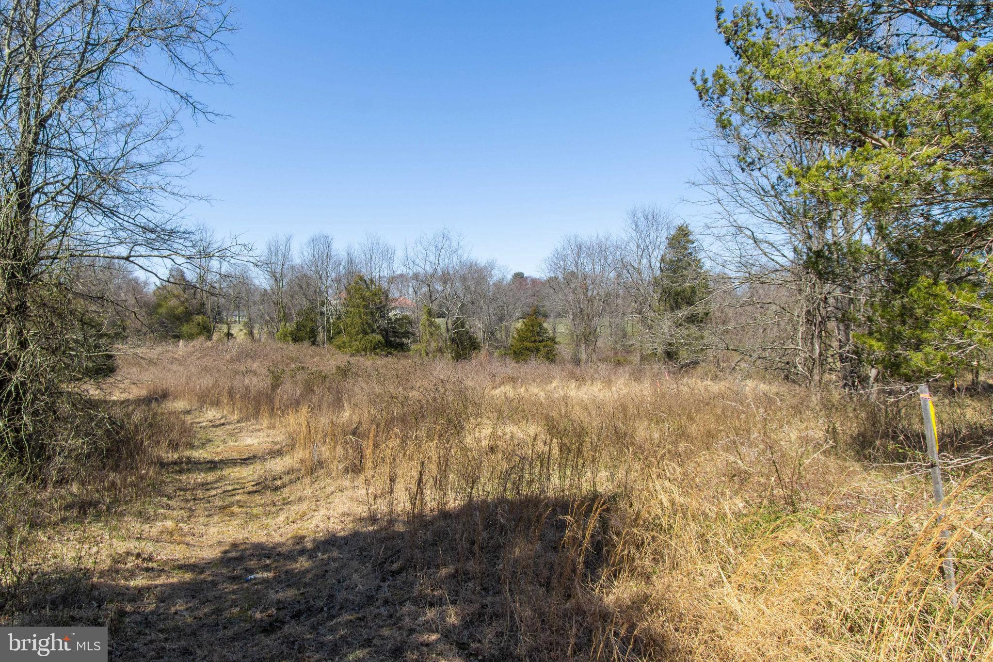 17817 Bowie Mill Road Derwood, MD 20855 - Photo 3 of 23