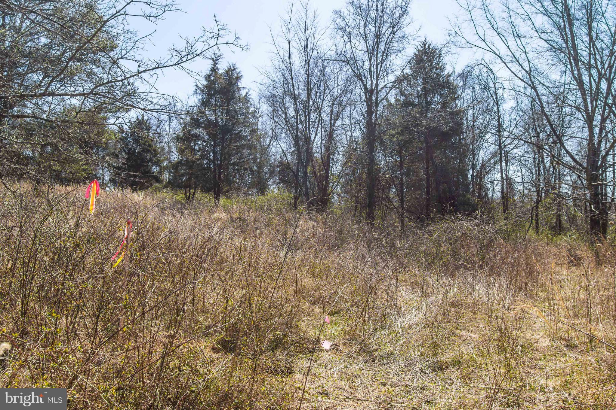 17817 Bowie Mill Road Derwood, MD 20855 - Photo 5 of 23