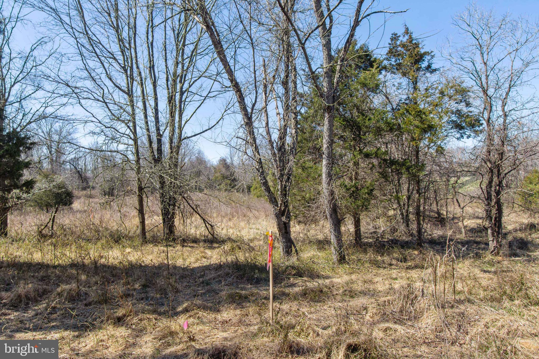 17817 Bowie Mill Road Derwood, MD 20855 - Photo 6 of 23