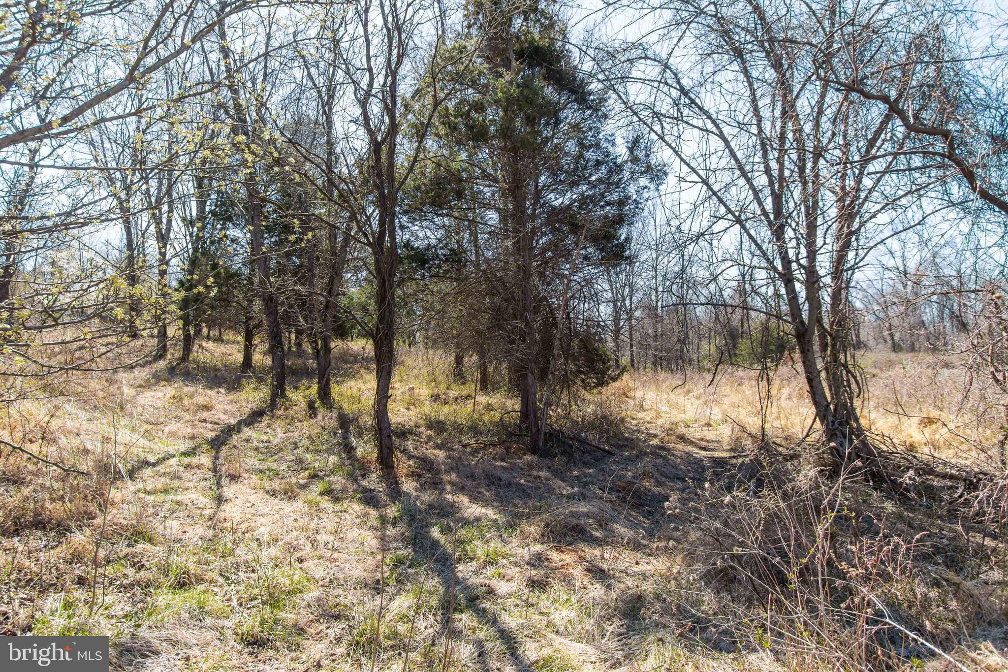 17817 Bowie Mill Road Derwood, MD 20855 - Photo 8 of 23