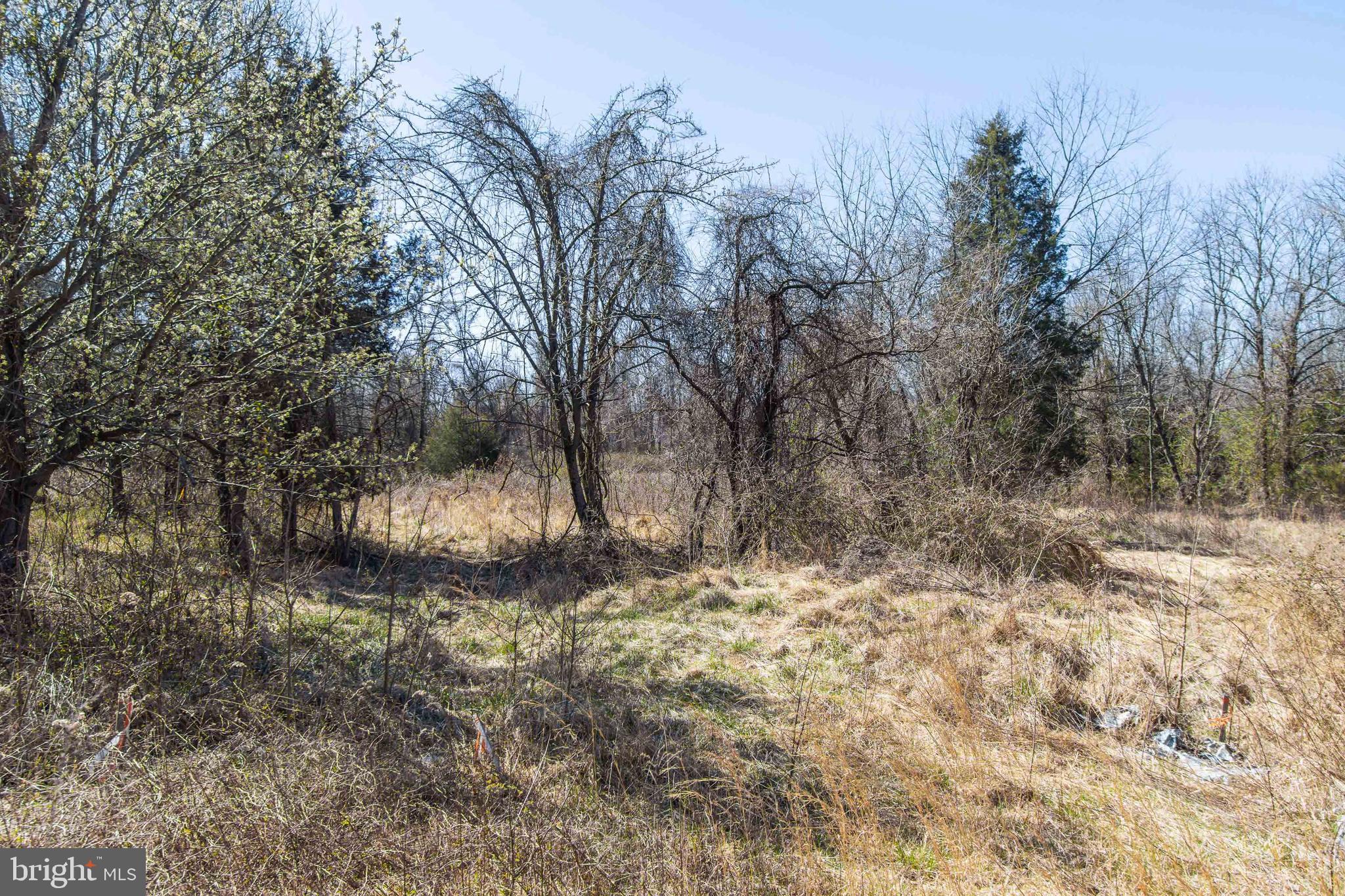 17817 Bowie Mill Road Derwood, MD 20855 - Photo 9 of 23