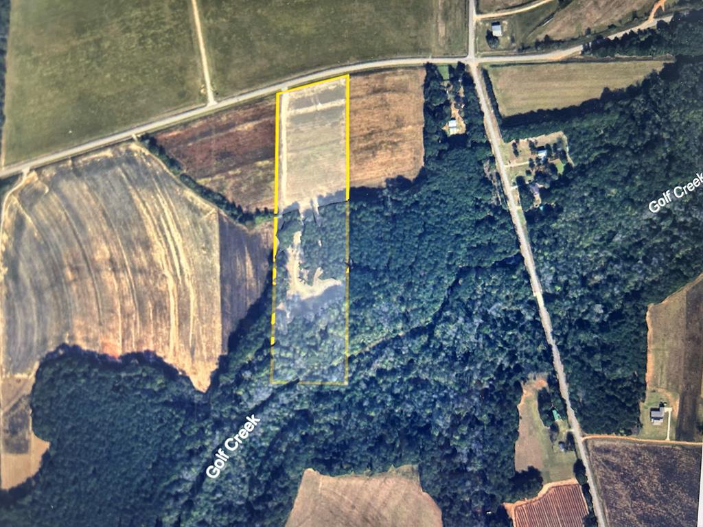 15-ac Webb Road Dothan, AL 36301 - Photo 4 of 33