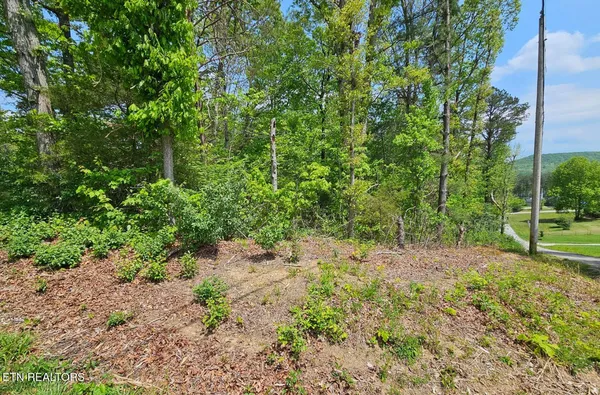 $19,900 | 0 Sutherland Drive, Helenwood, TN 37755