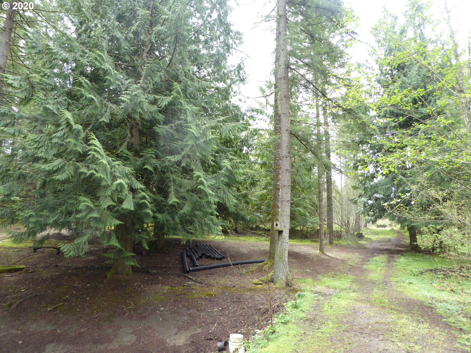 20062 South Young Road Molalla, OR 97038 - Photo 3 of 13 Gallery Image 3