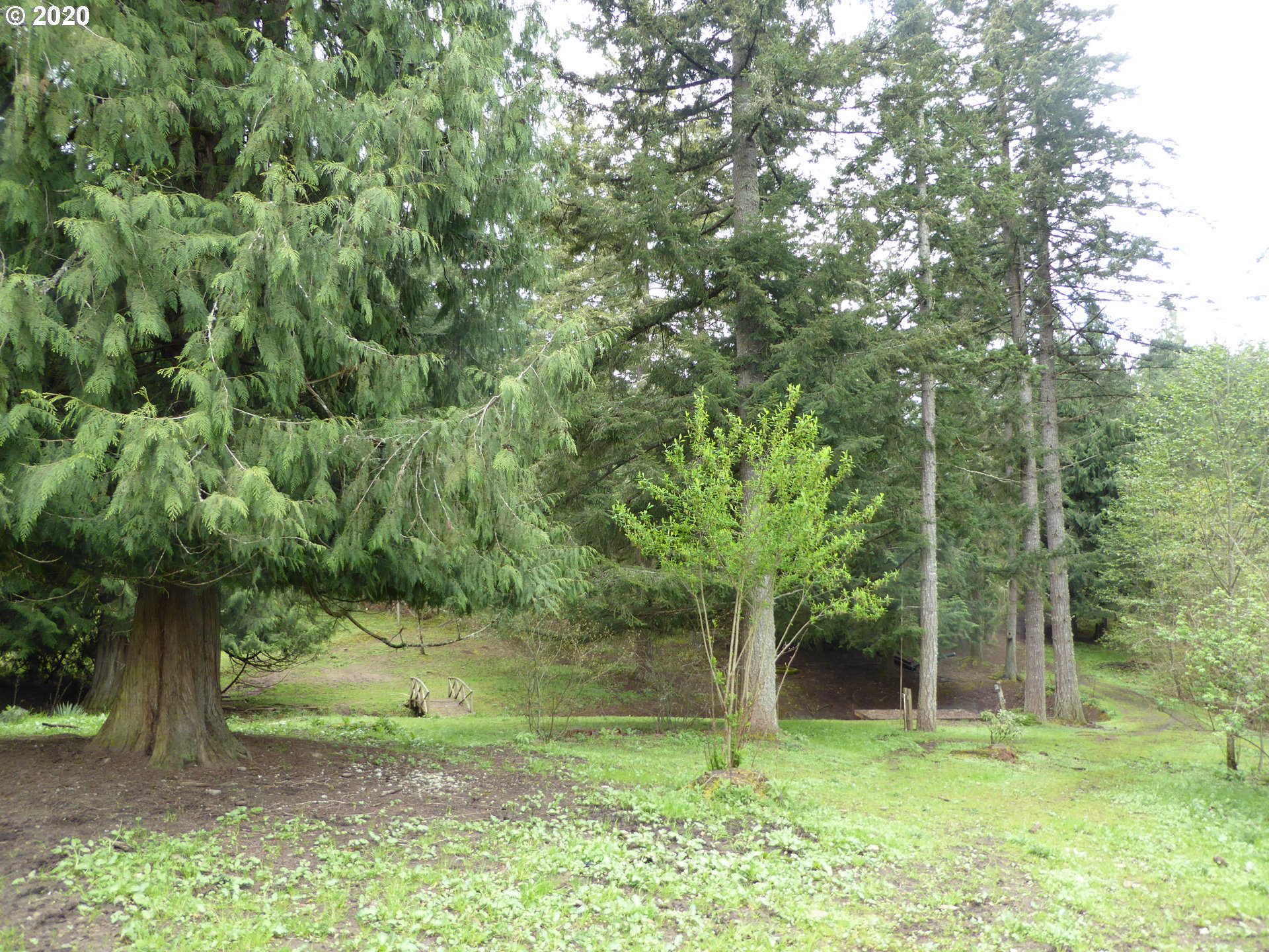 20062 South Young Road Molalla, OR 97038 - Photo 4 of 13 Gallery Image 4
