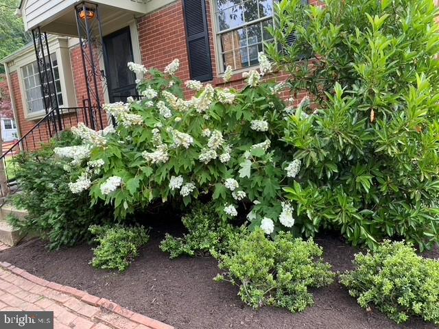 1010 Kingston Road Baltimore, MD 21208 - Photo 41 of 43 Front flowering bushes