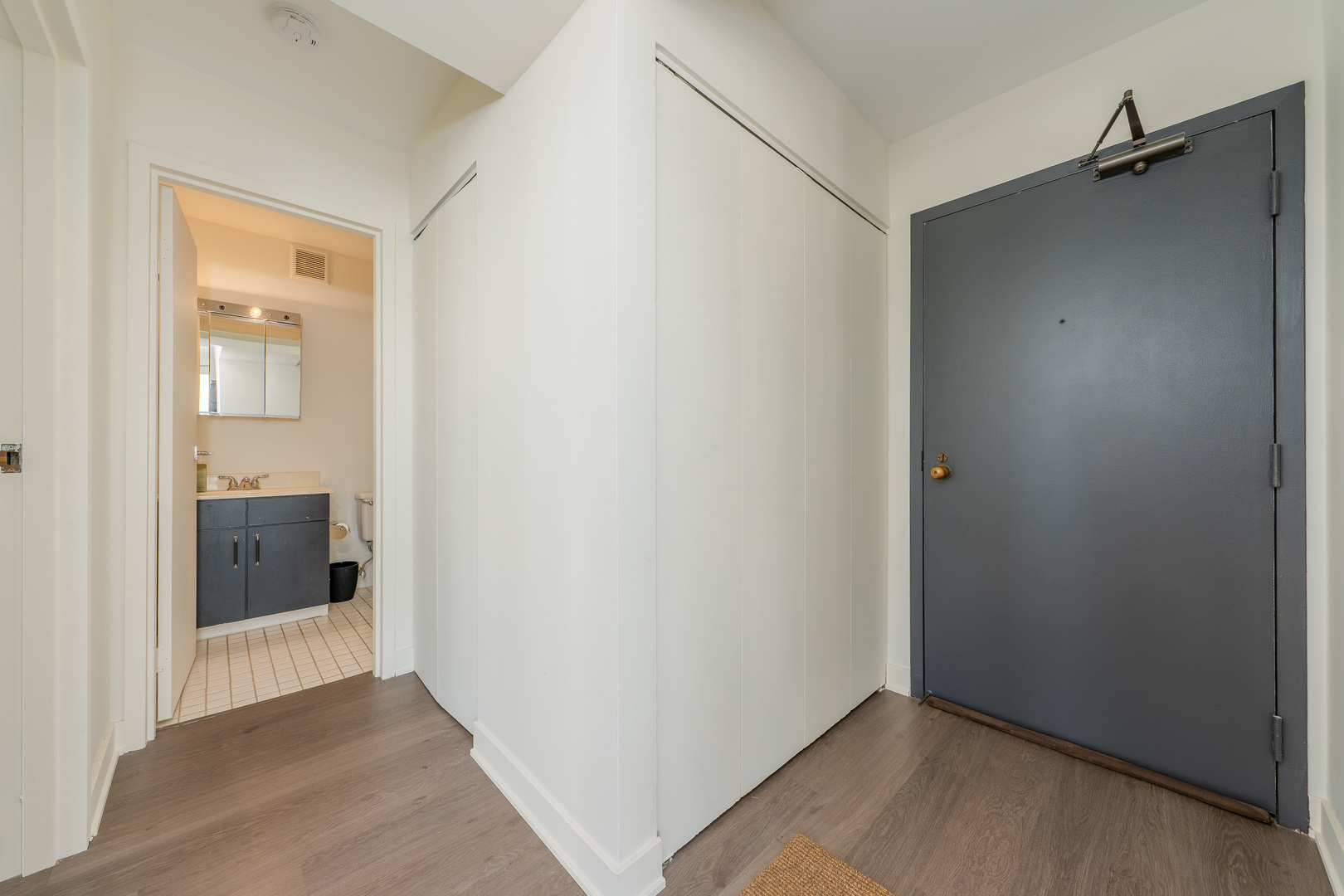 33 West Delaware Place, Unit 16K Chicago, IL 60610 - Photo 8 of 12