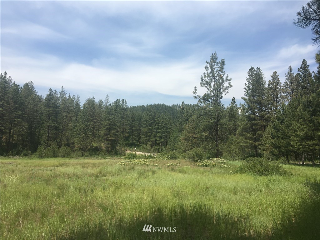 3 Black Jack Road South Winthrop, WA 98862 - Photo 1 of 24 Gallery Image 1