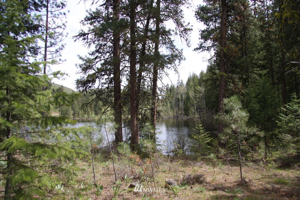 3 Black Jack Road South Winthrop, WA 98862 - Photo 14 of 24 Gallery Image 14