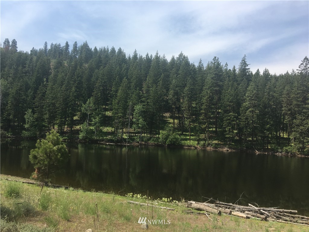 3 Black Jack Road South Winthrop, WA 98862 - Photo 3 of 24 Gallery Image 3
