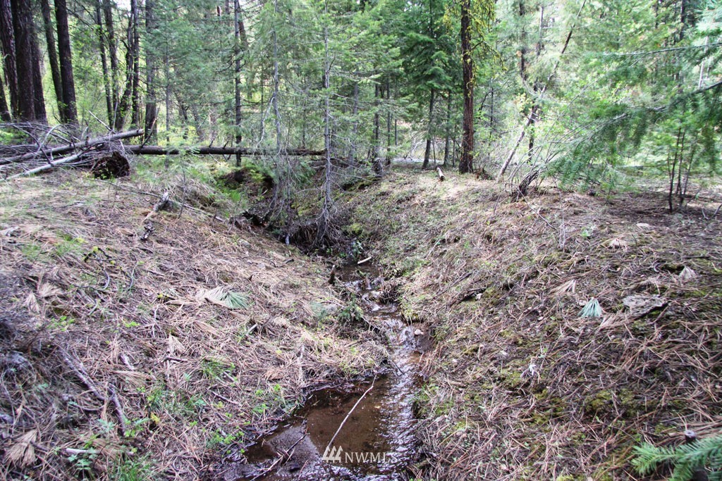 3 Black Jack Road South Winthrop, WA 98862 - Photo 22 of 24 Gallery Image 22