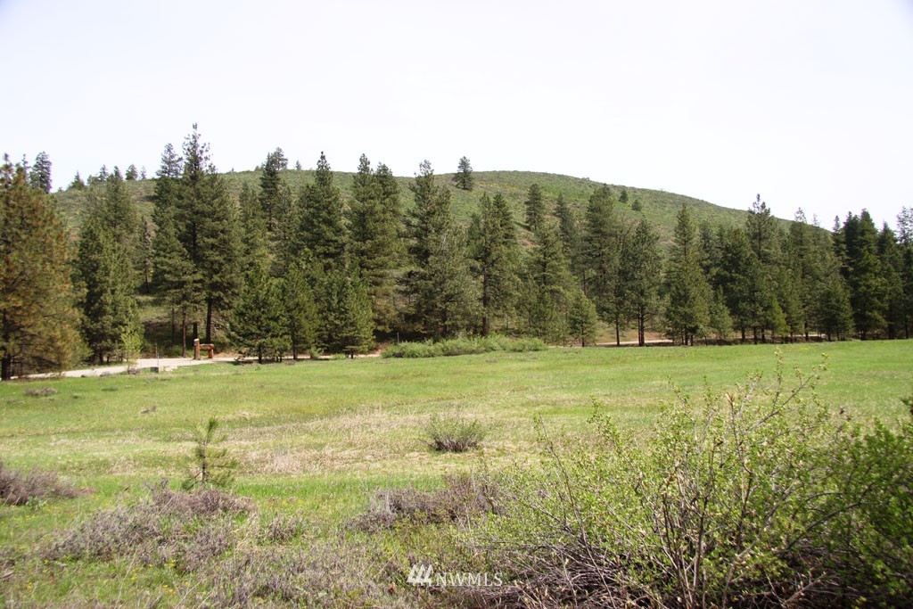3 Black Jack Road South Winthrop, WA 98862 - Photo 6 of 24 Gallery Image 6