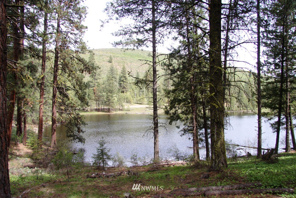 3 Black Jack Road South Winthrop, WA 98862 - Photo 7 of 24 Gallery Image 7