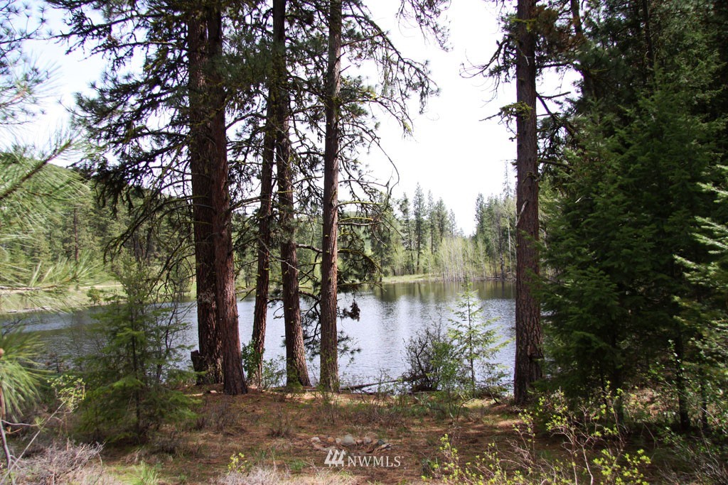 3 Black Jack Road South Winthrop, WA 98862 - Photo 8 of 24 Gallery Image 8