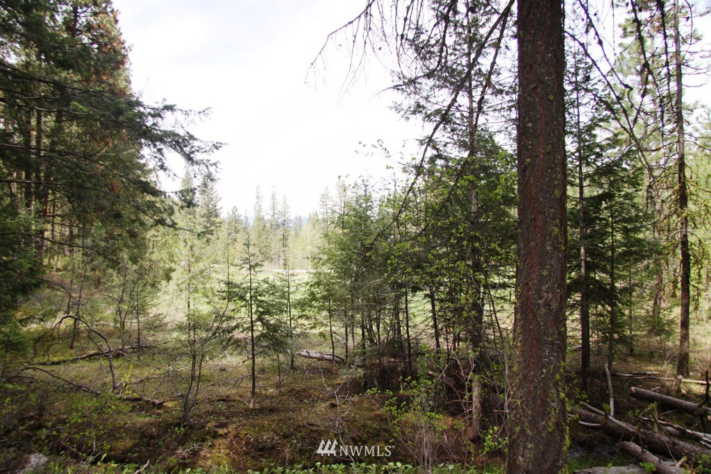3 Black Jack Road South Winthrop, WA 98862 - Photo 9 of 24 Gallery Image 9