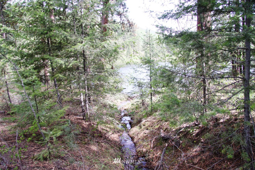 3 Black Jack Road South Winthrop, WA 98862 - Photo 10 of 24 Gallery Image 10