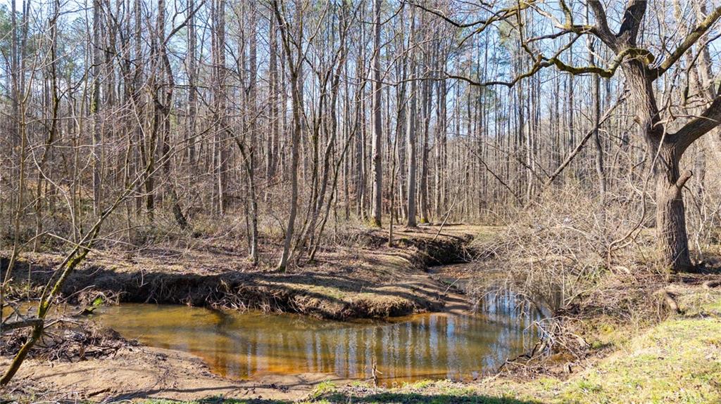 1783 4 Mile Church Road Ball Ground, GA 30107 - Photo 11 of 60